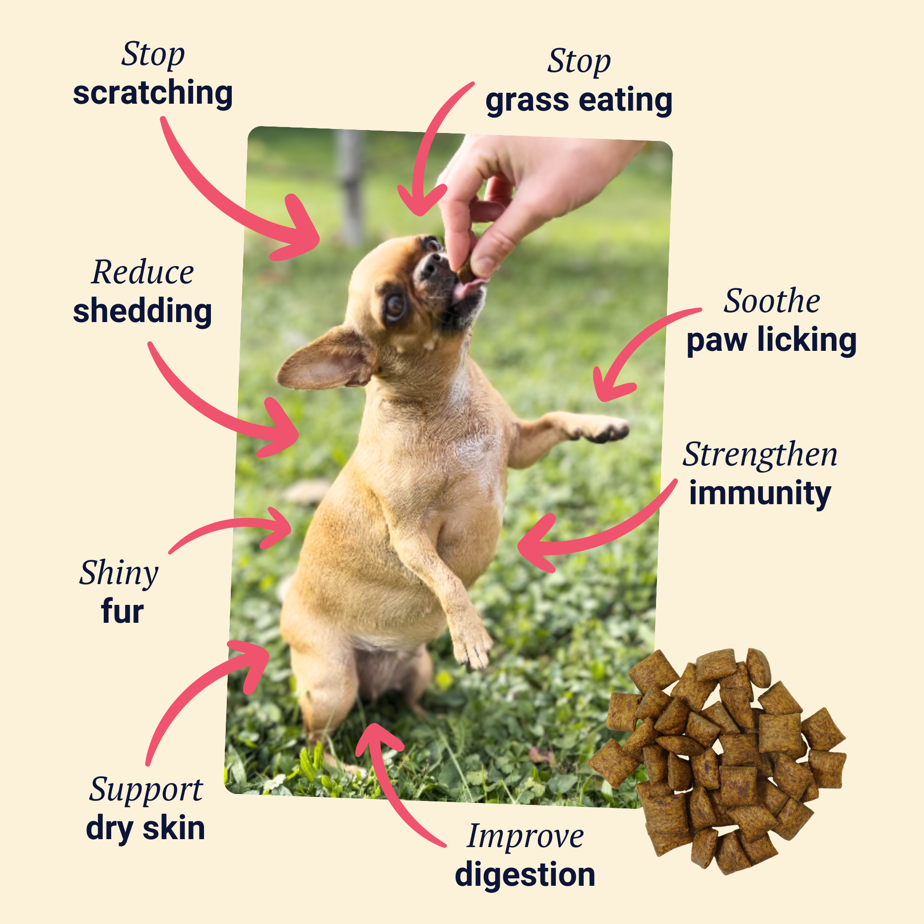 Belly Biotics & skinQR PEA