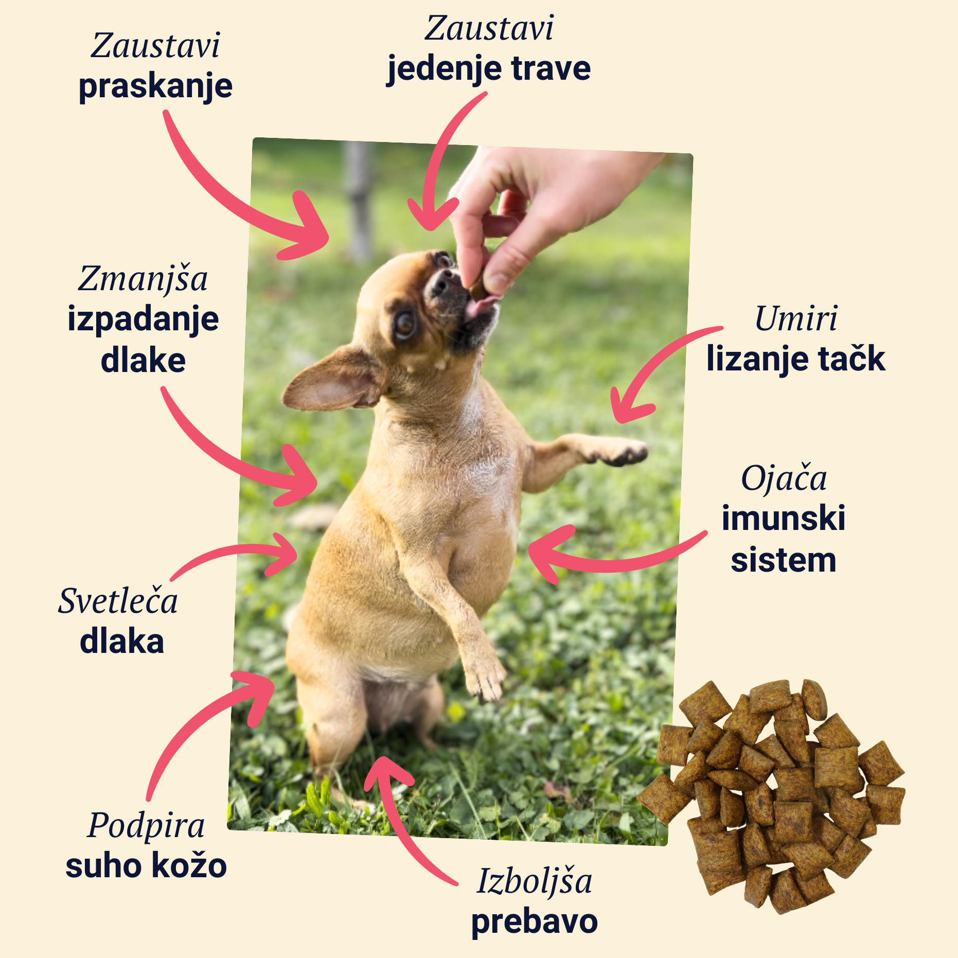 Belly Biotics & skinQR PEA