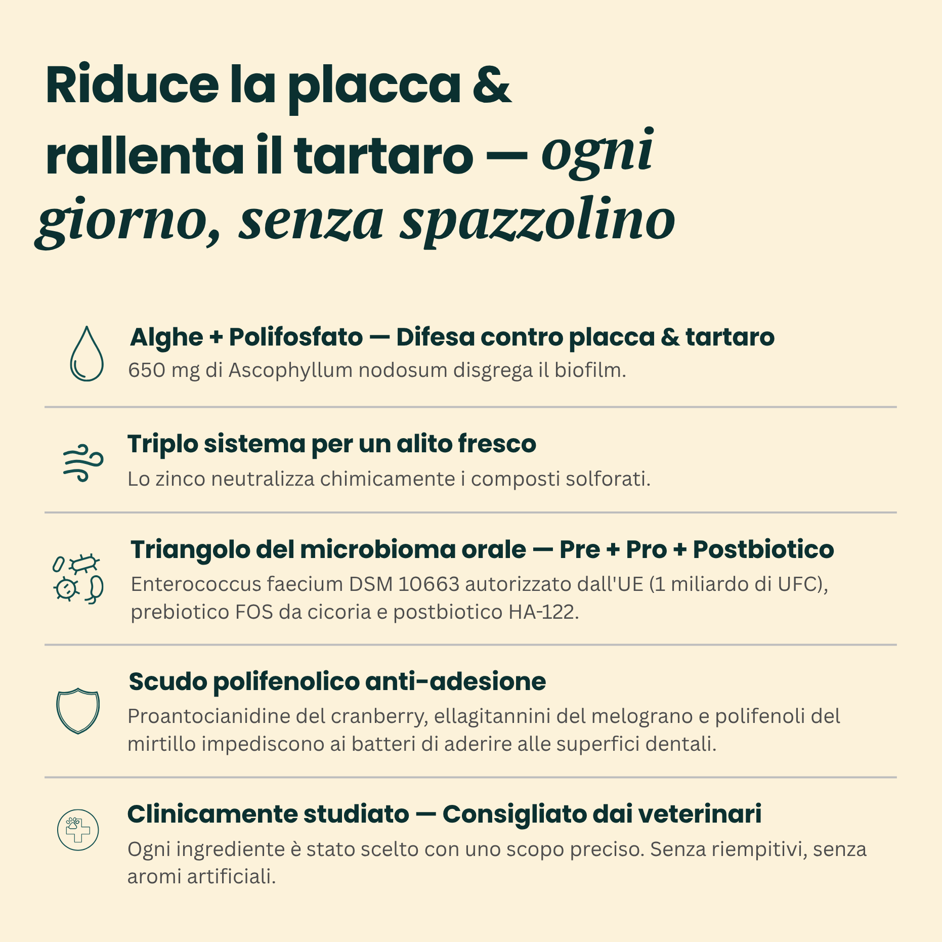 dentQR