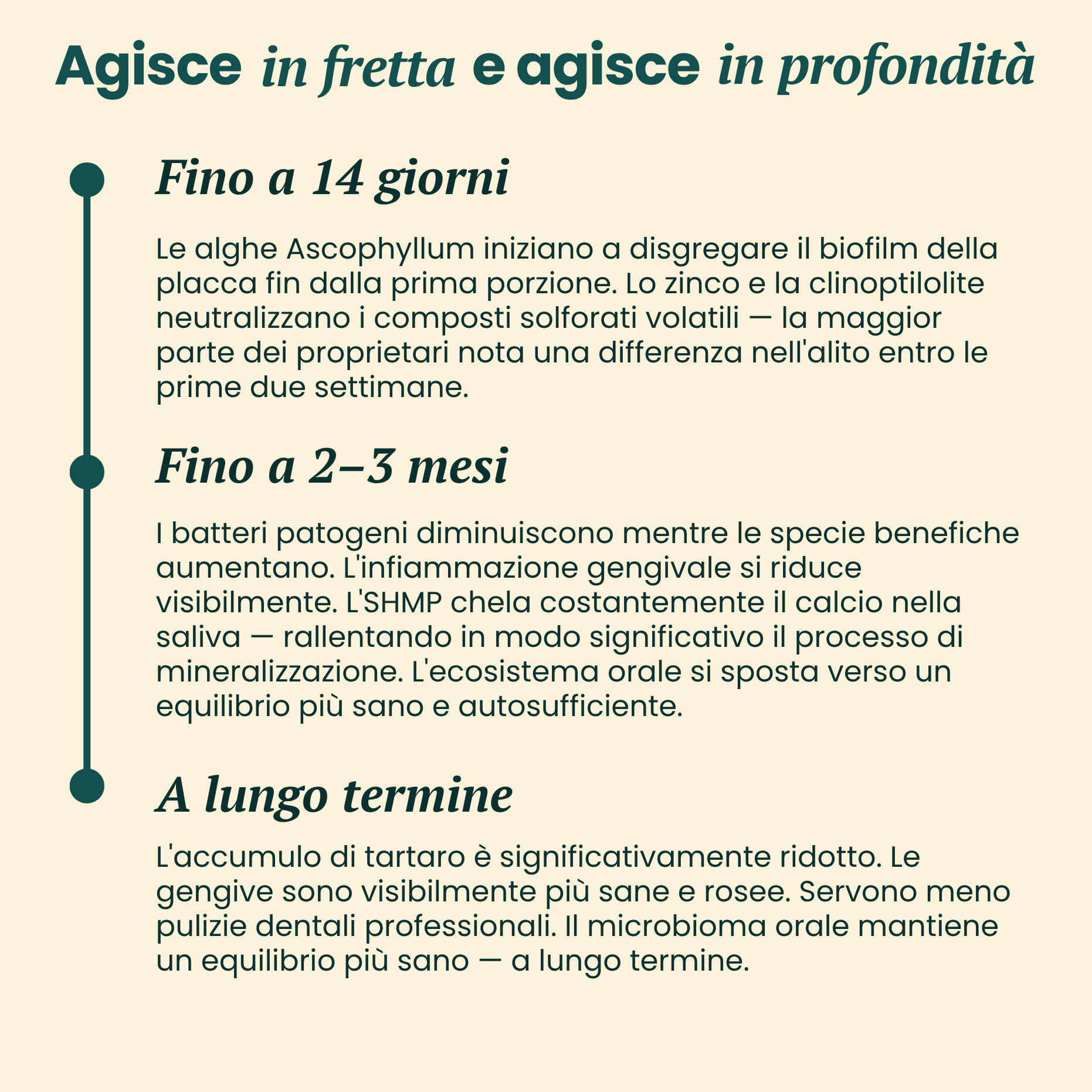 dentQR