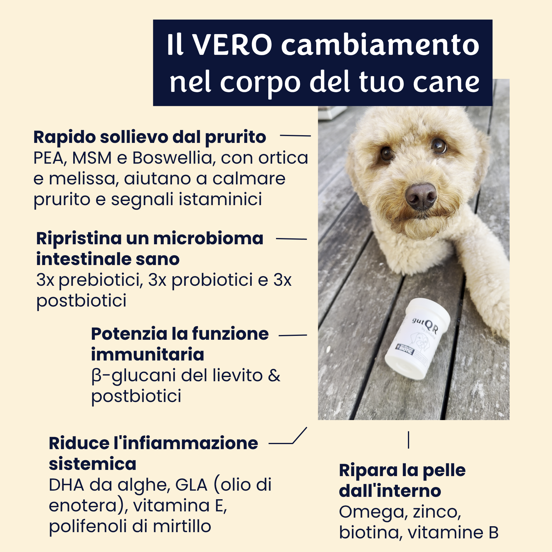 gutQR Anti-Itch no-co
