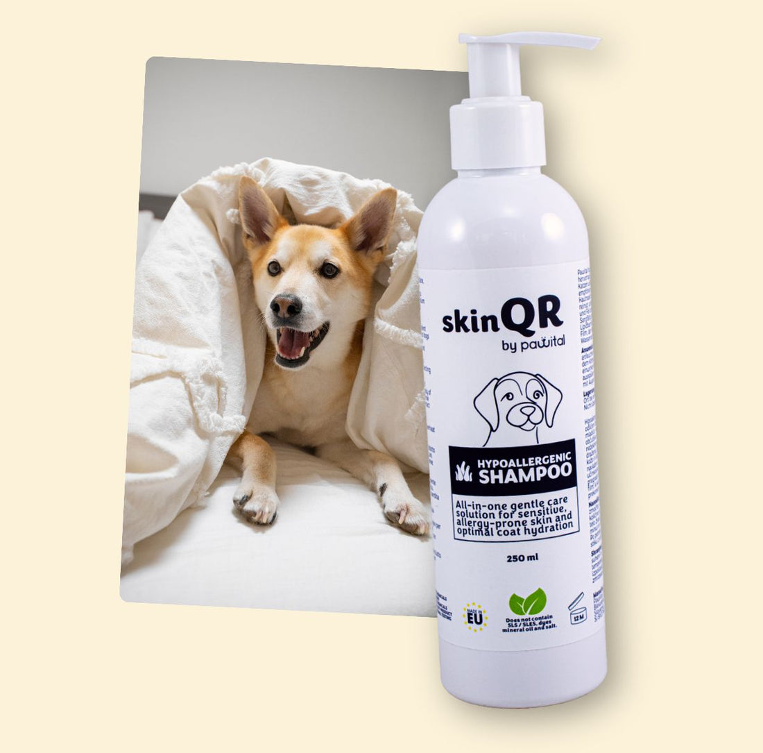 skinQR Hypoallergenes Shampoo (250ml)