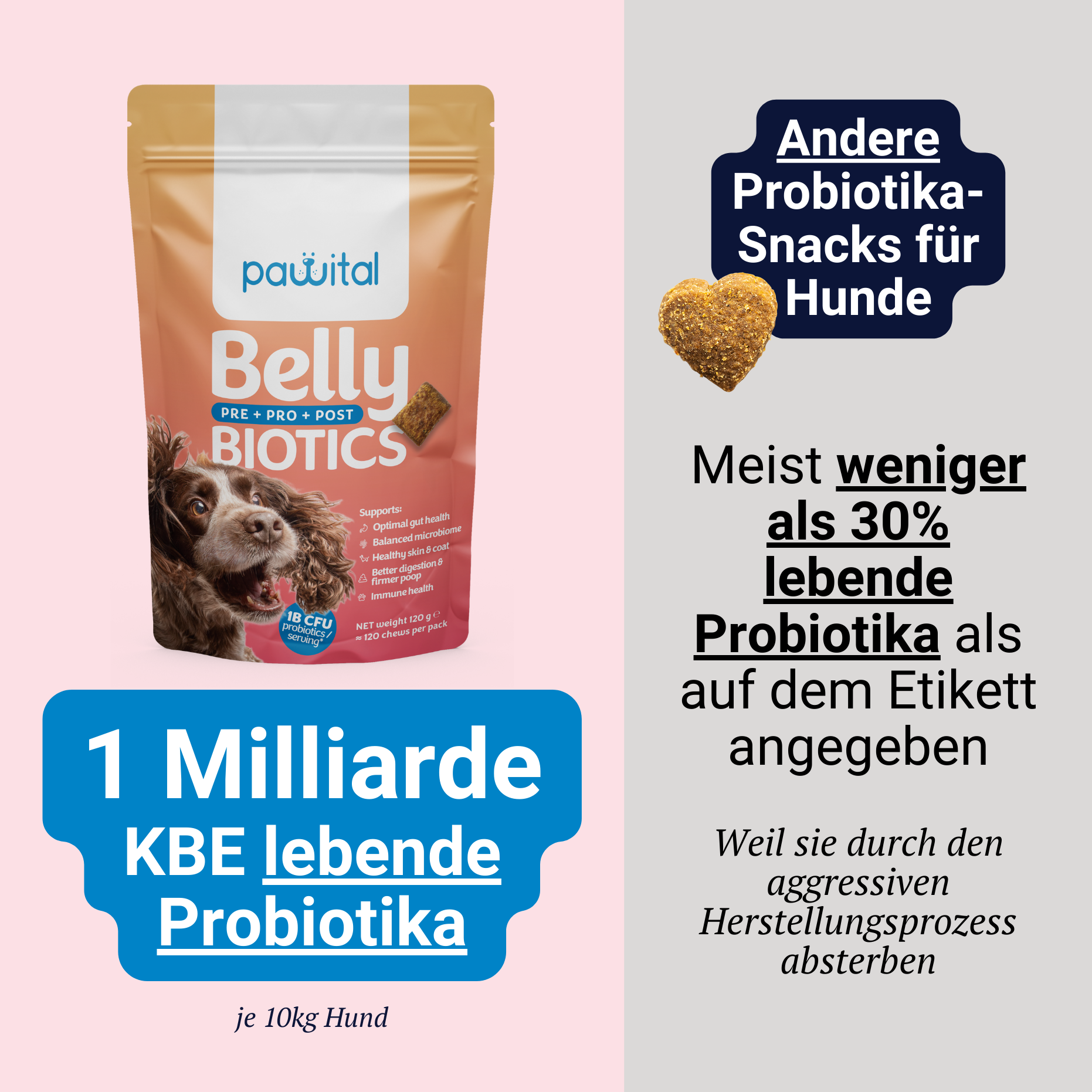 Belly Biotics Erhaltung