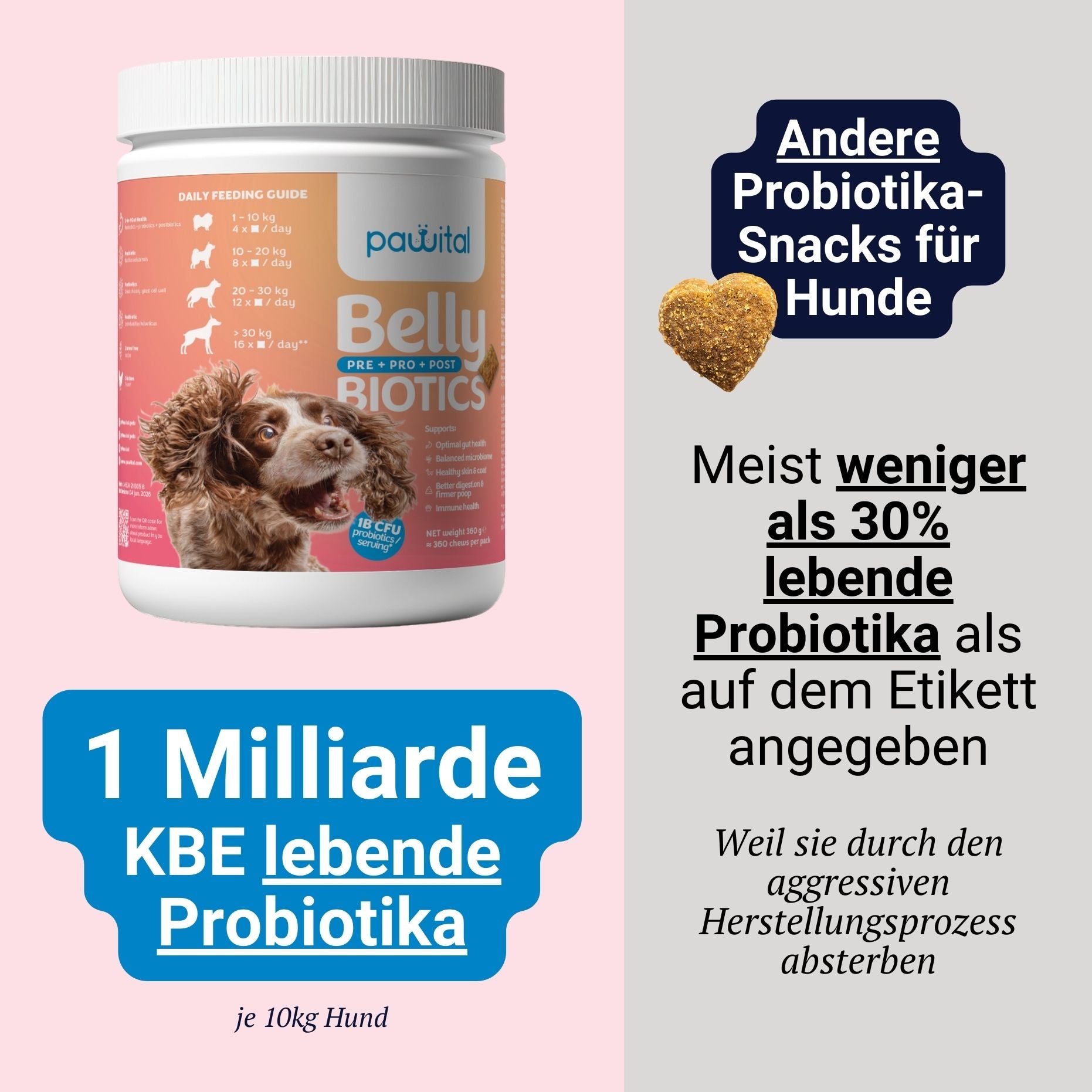 Belly Biotics (360 Leckerlis)