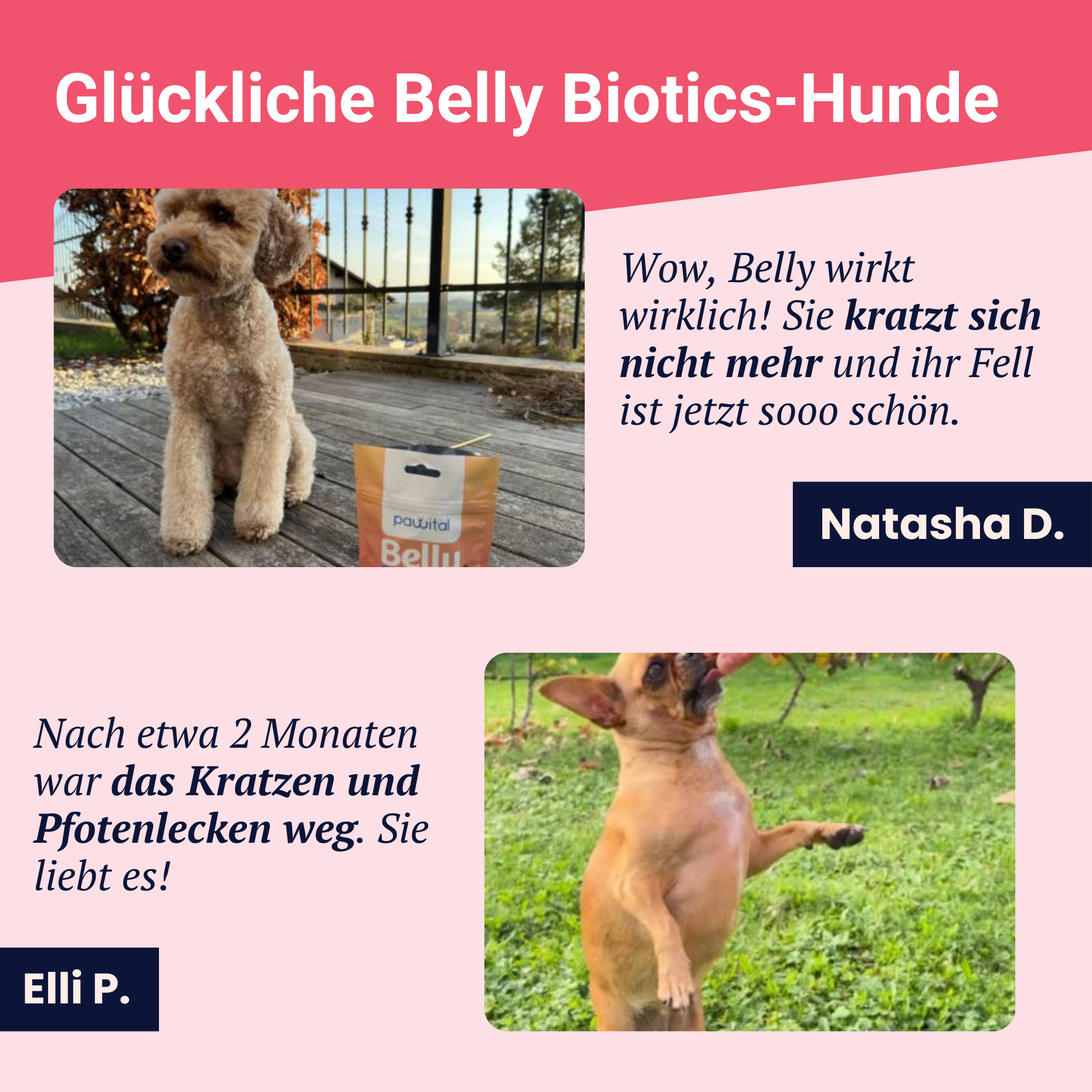Belly Biotics (360 Leckerlis)