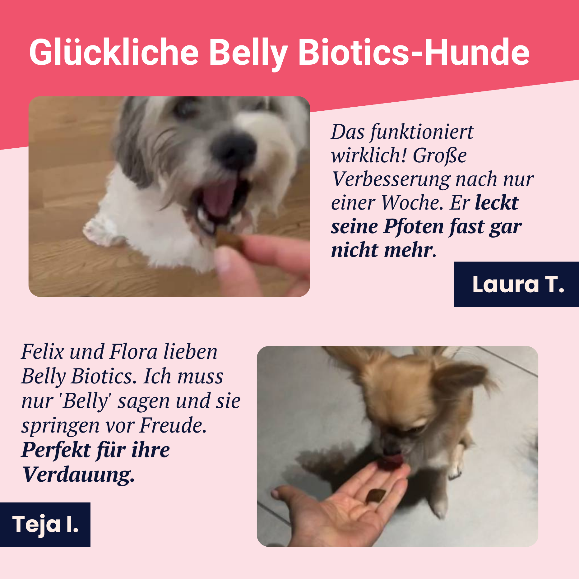 Belly Biotics (360 Leckerlis)