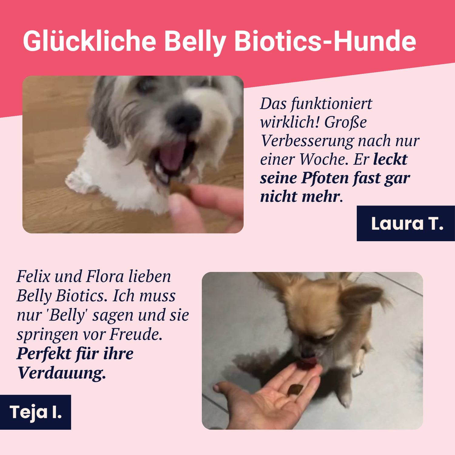 Belly Biotics Erhaltung