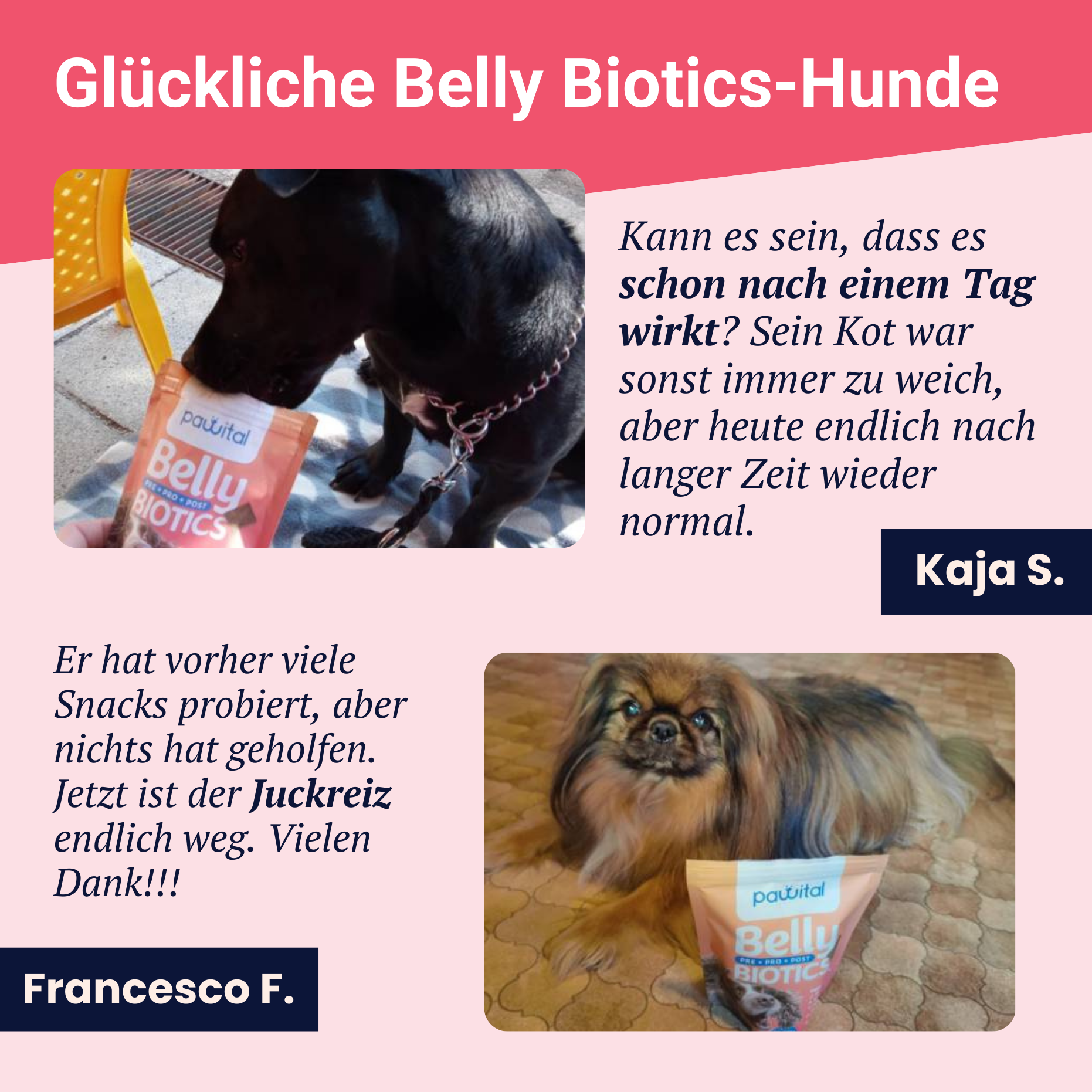 Belly Biotics (360 Leckerlis)