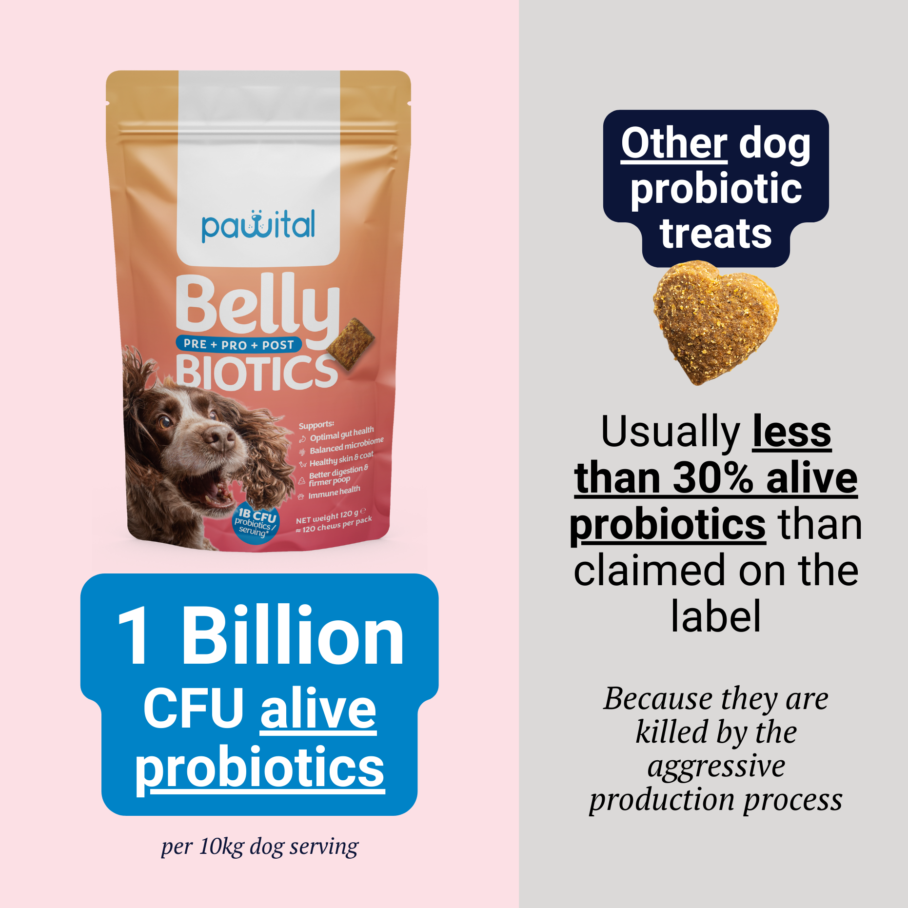 Belly Biotics (360 Leckerlis)