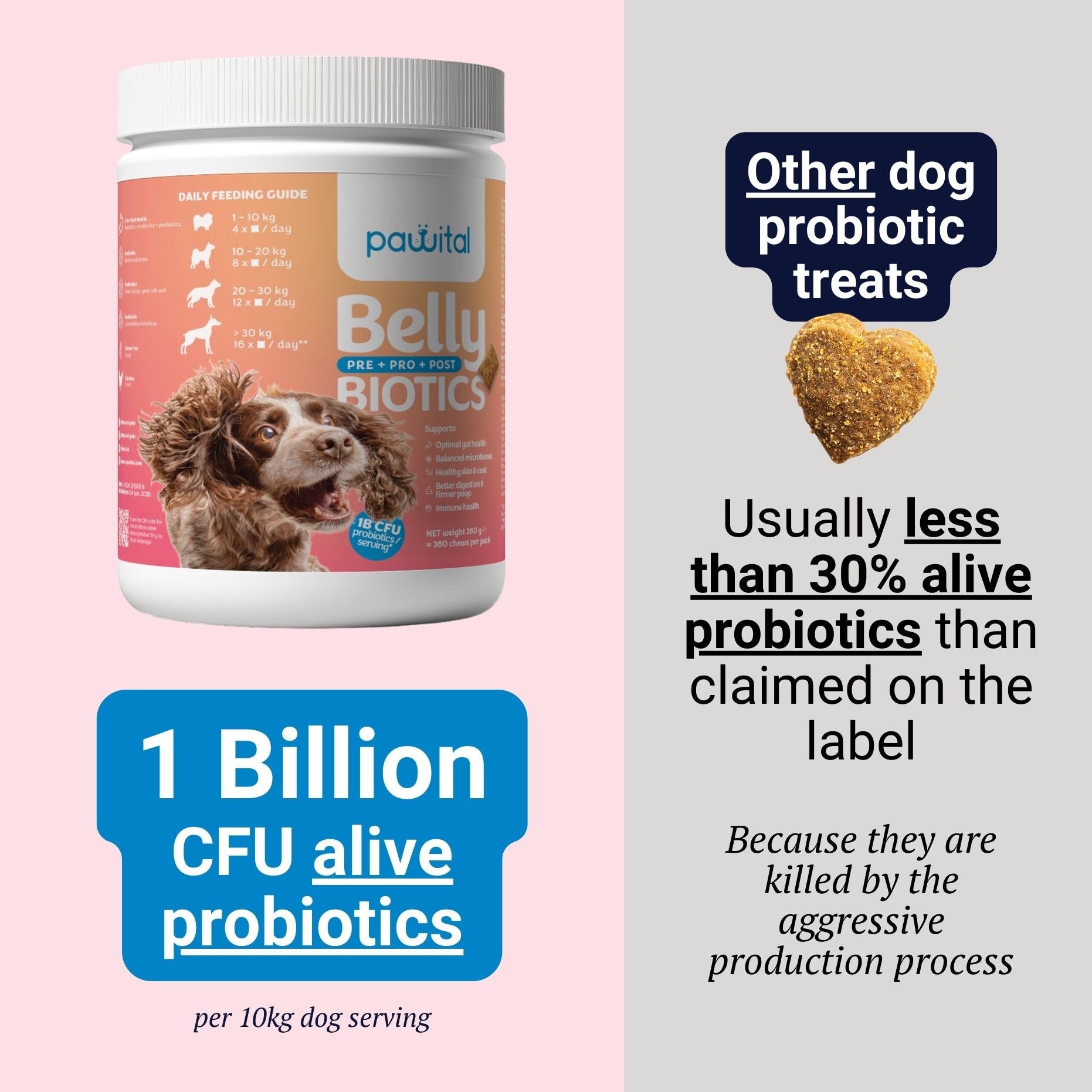 Belly Biotics (360 Leckerlis)