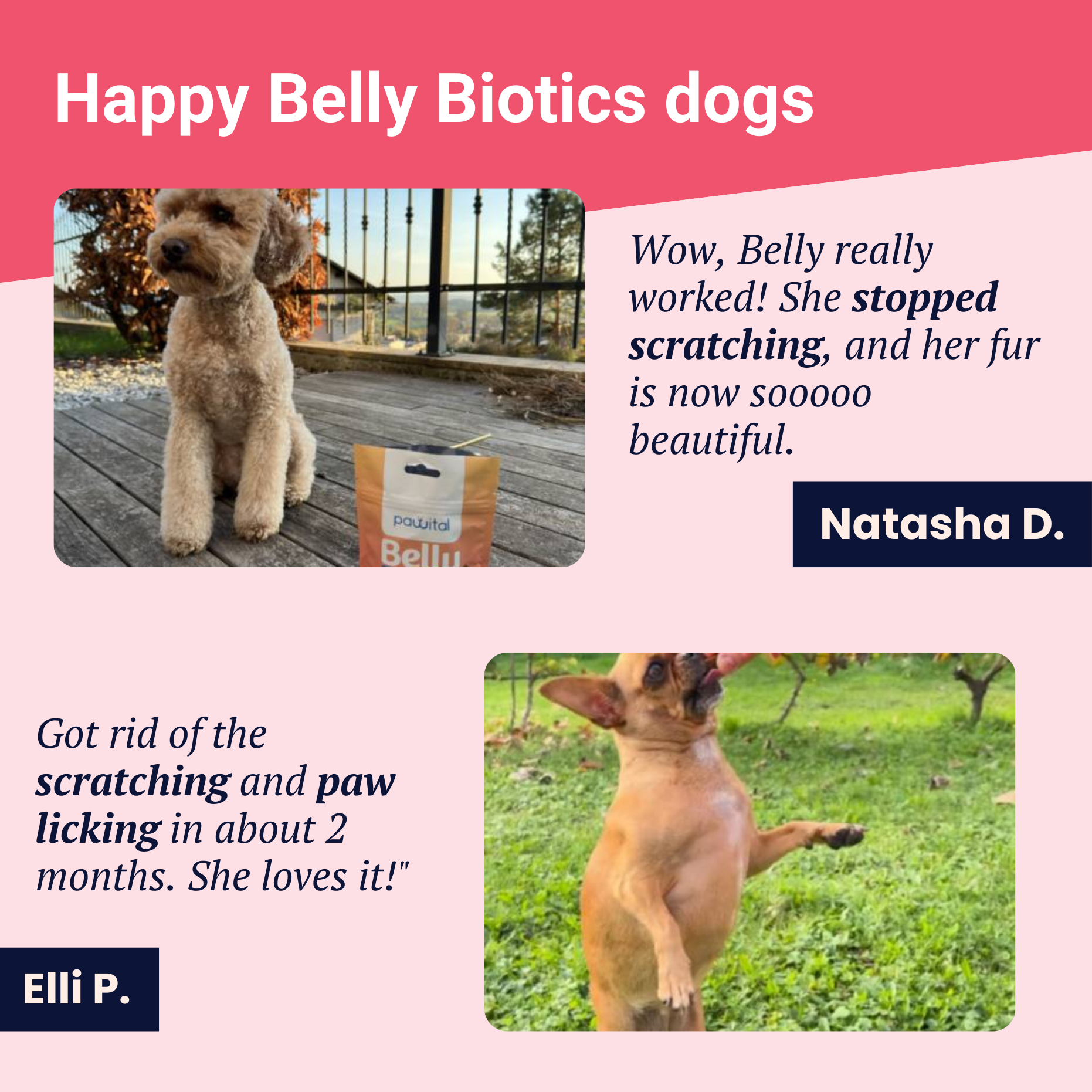 Belly Biotics (360 Leckerlis)