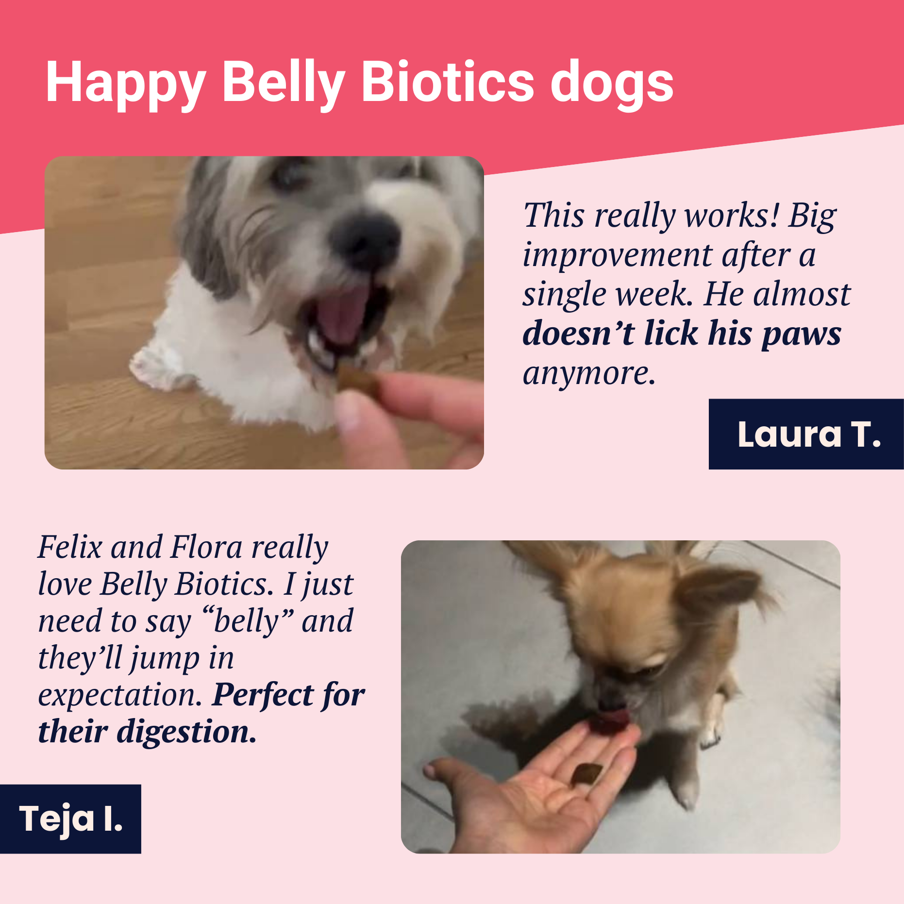 Belly Biotics (360 Leckerlis)