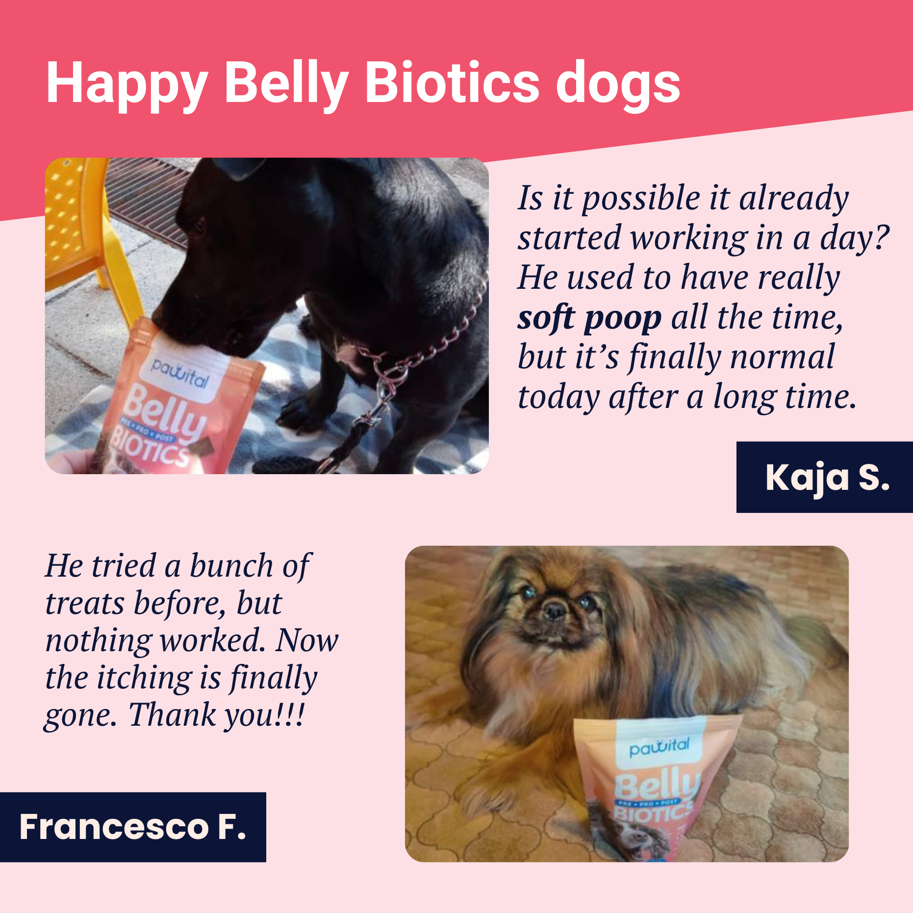 Belly Biotics (360 Leckerlis)