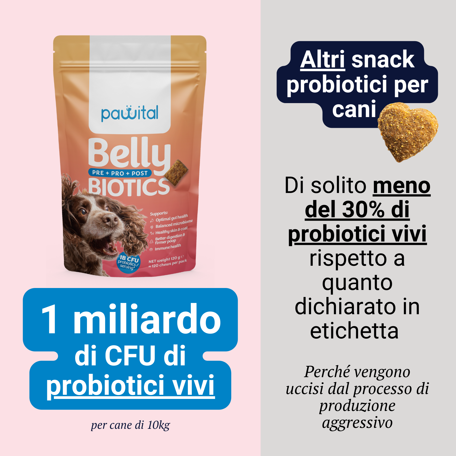 Belly Biotics Erhaltung