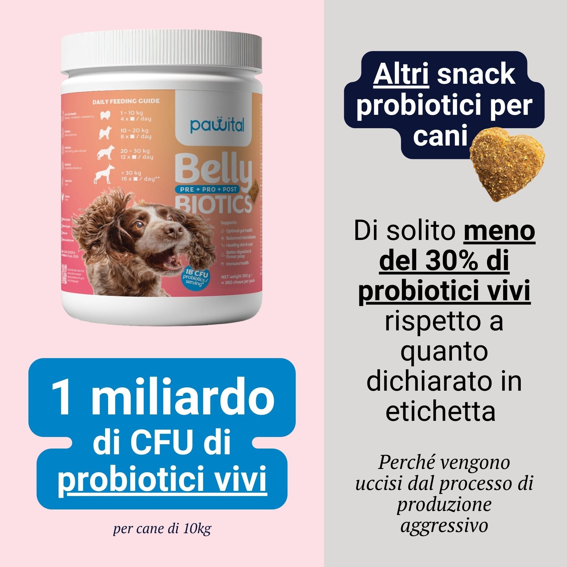 Belly Biotics (360 Leckerlis)