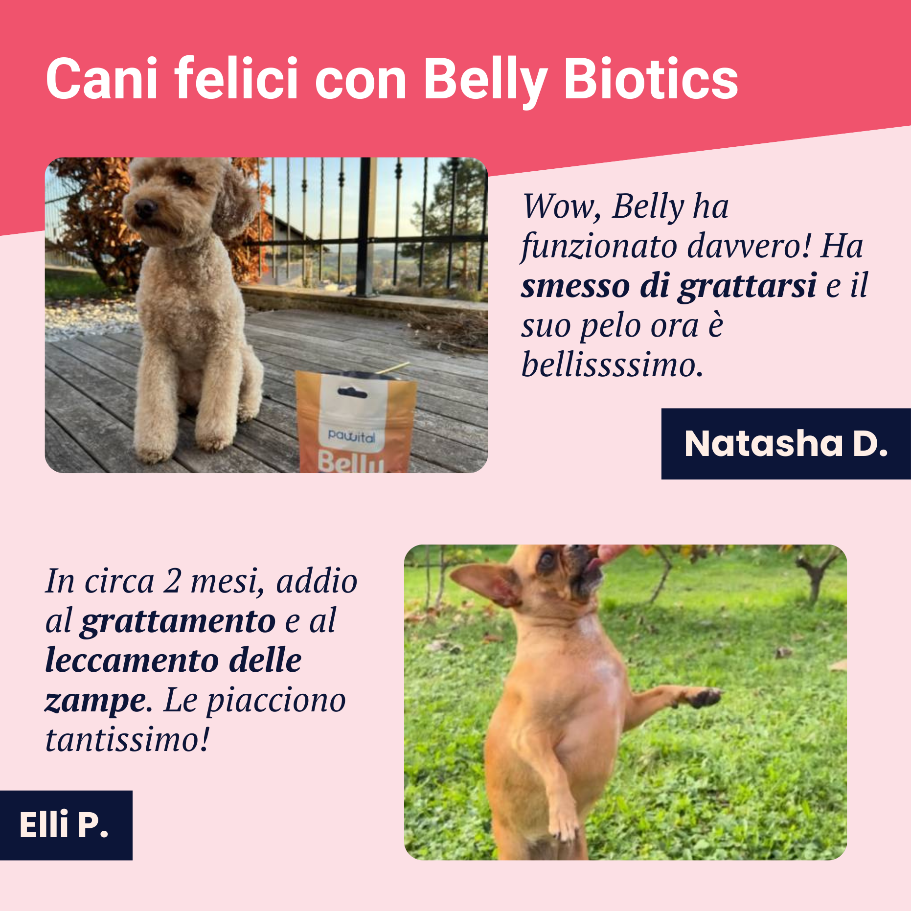 Belly Biotics (360 Leckerlis)