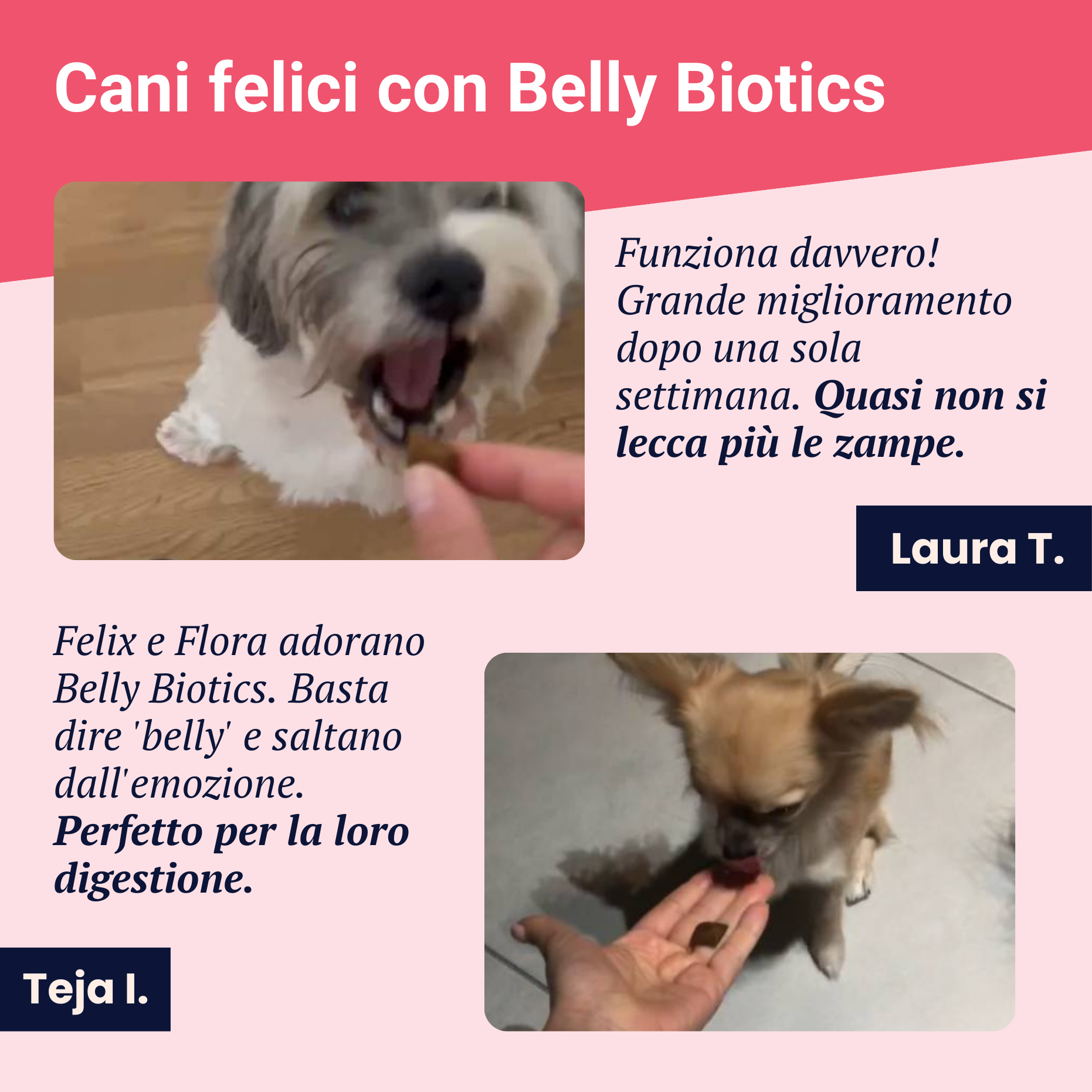 Belly Biotics (360 Leckerlis)