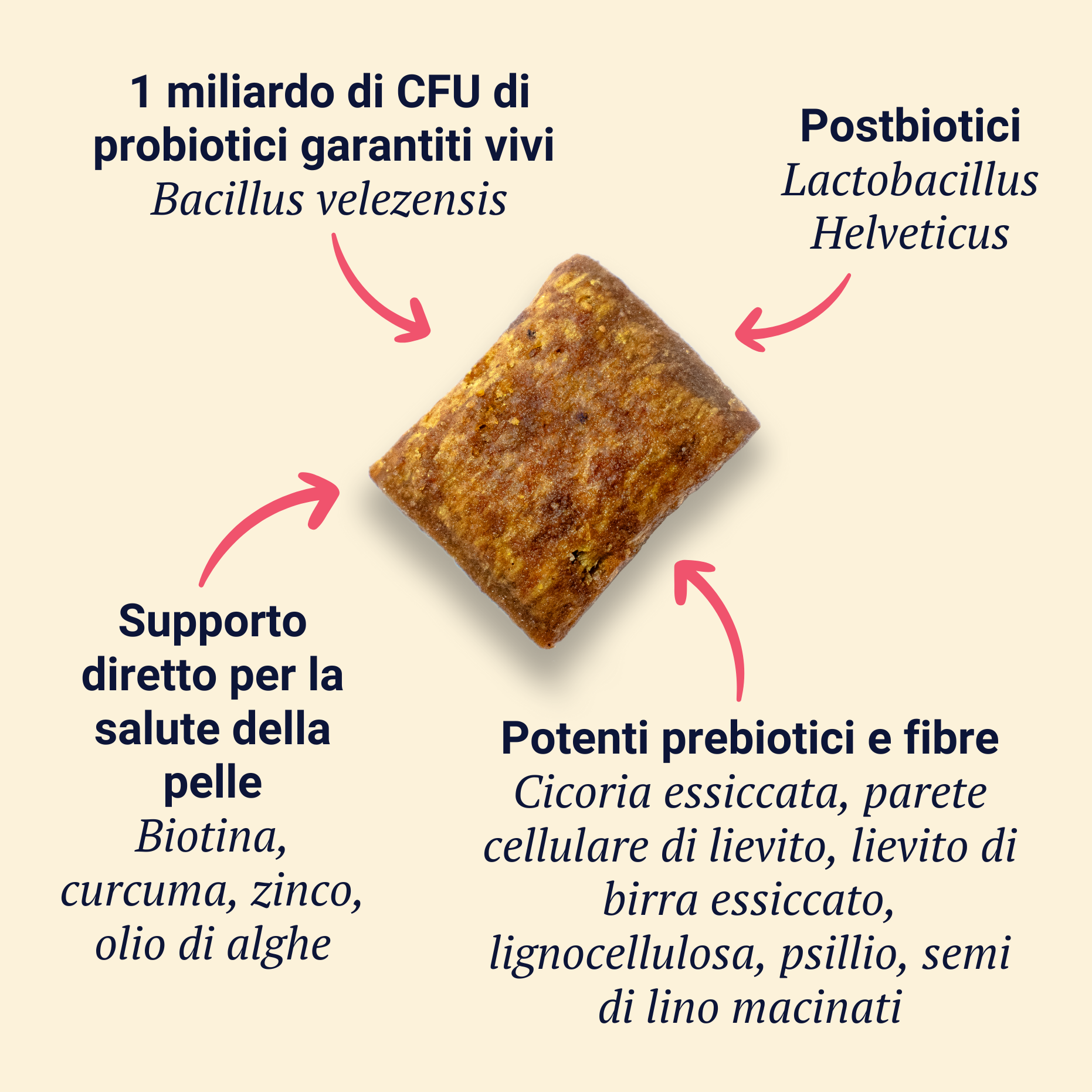 Belly Biotics (360 Leckerlis)