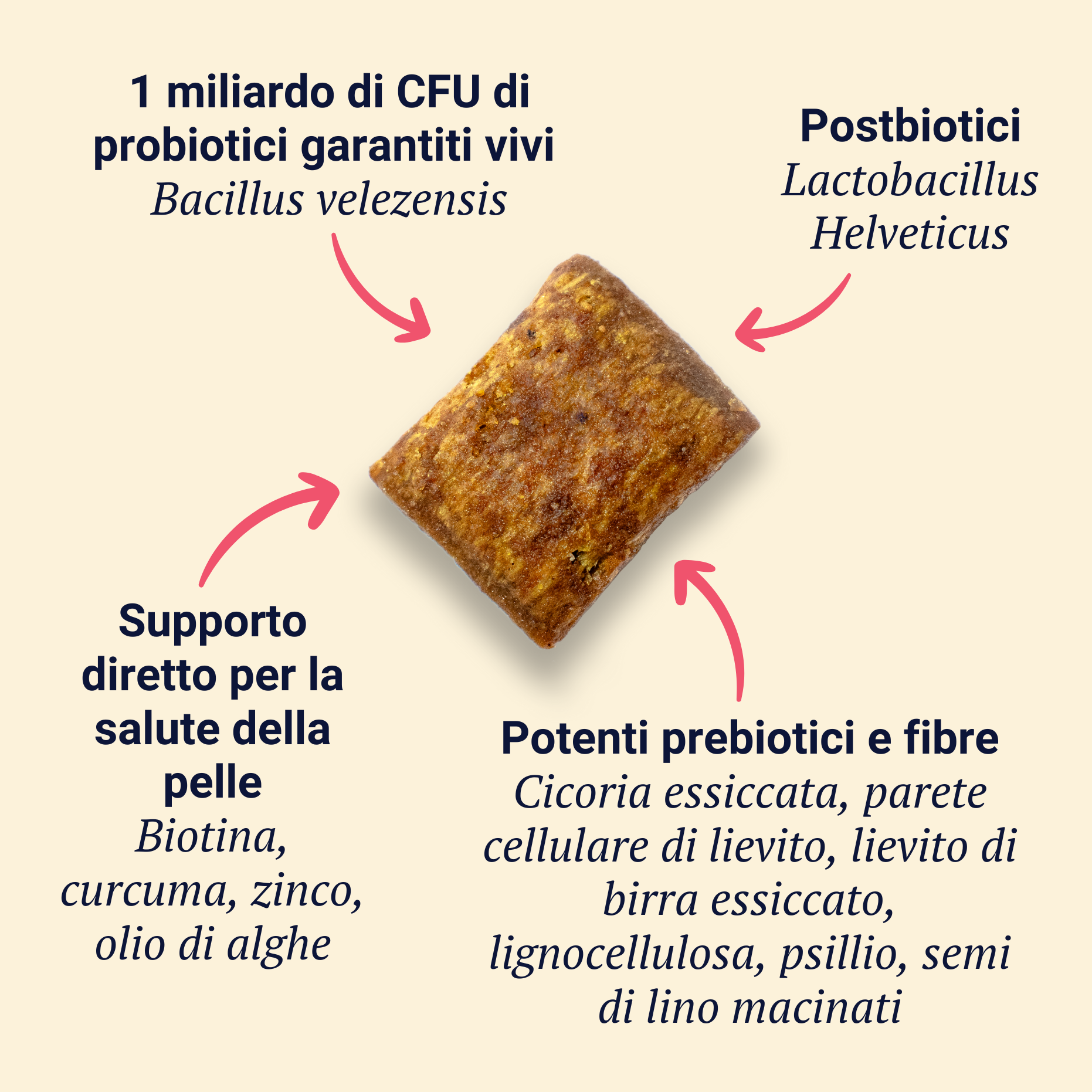 Belly Biotics Nachfüllung