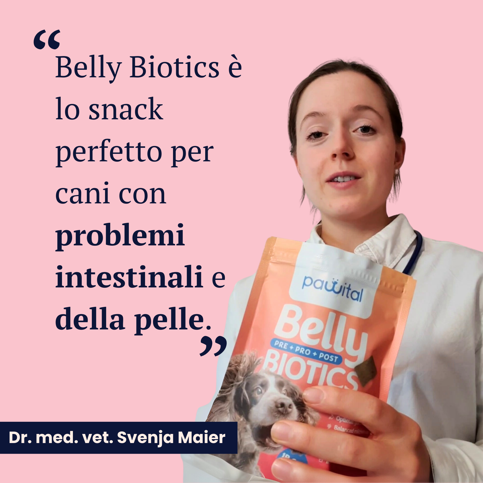 Belly Biotics (360 Leckerlis)