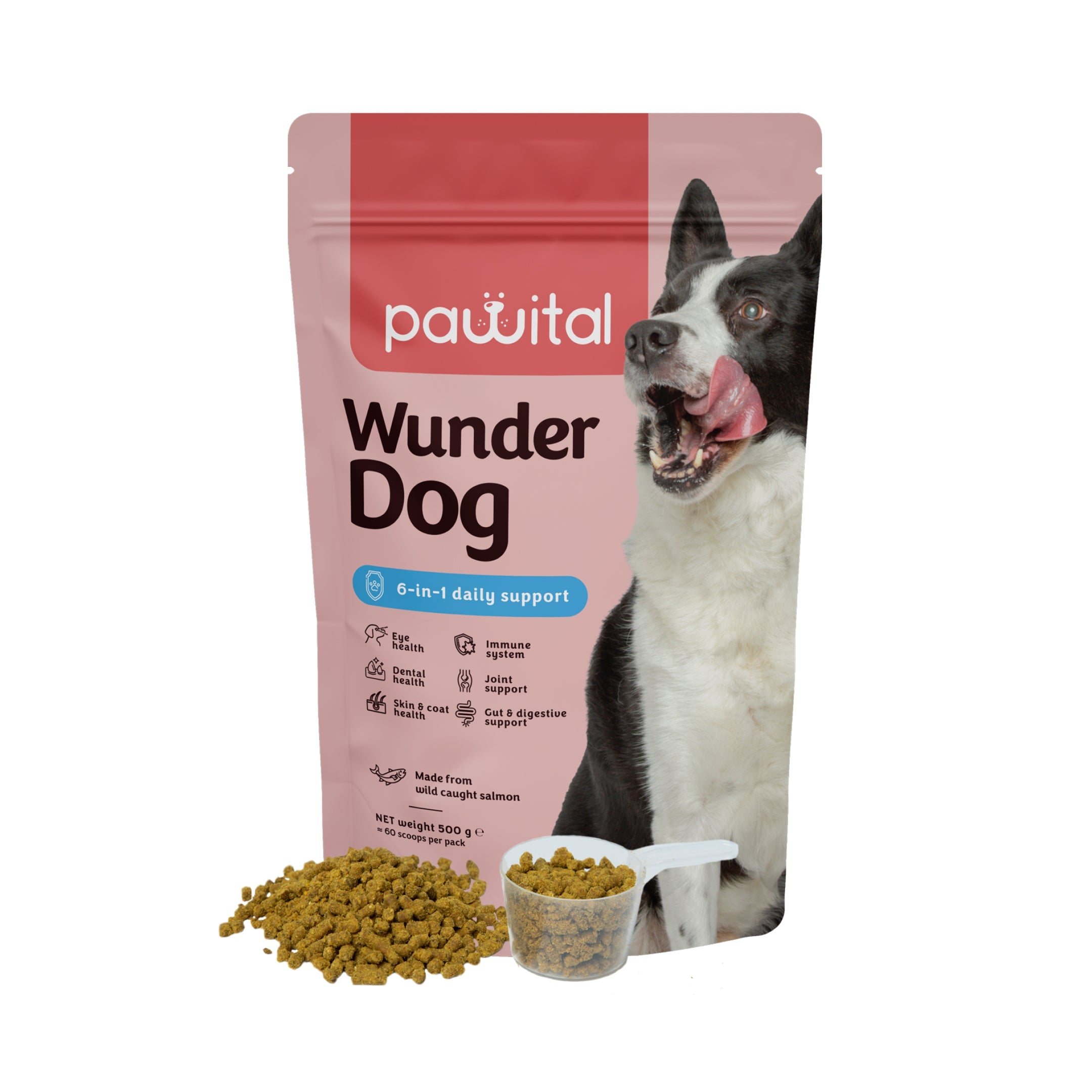 Wunder Dog