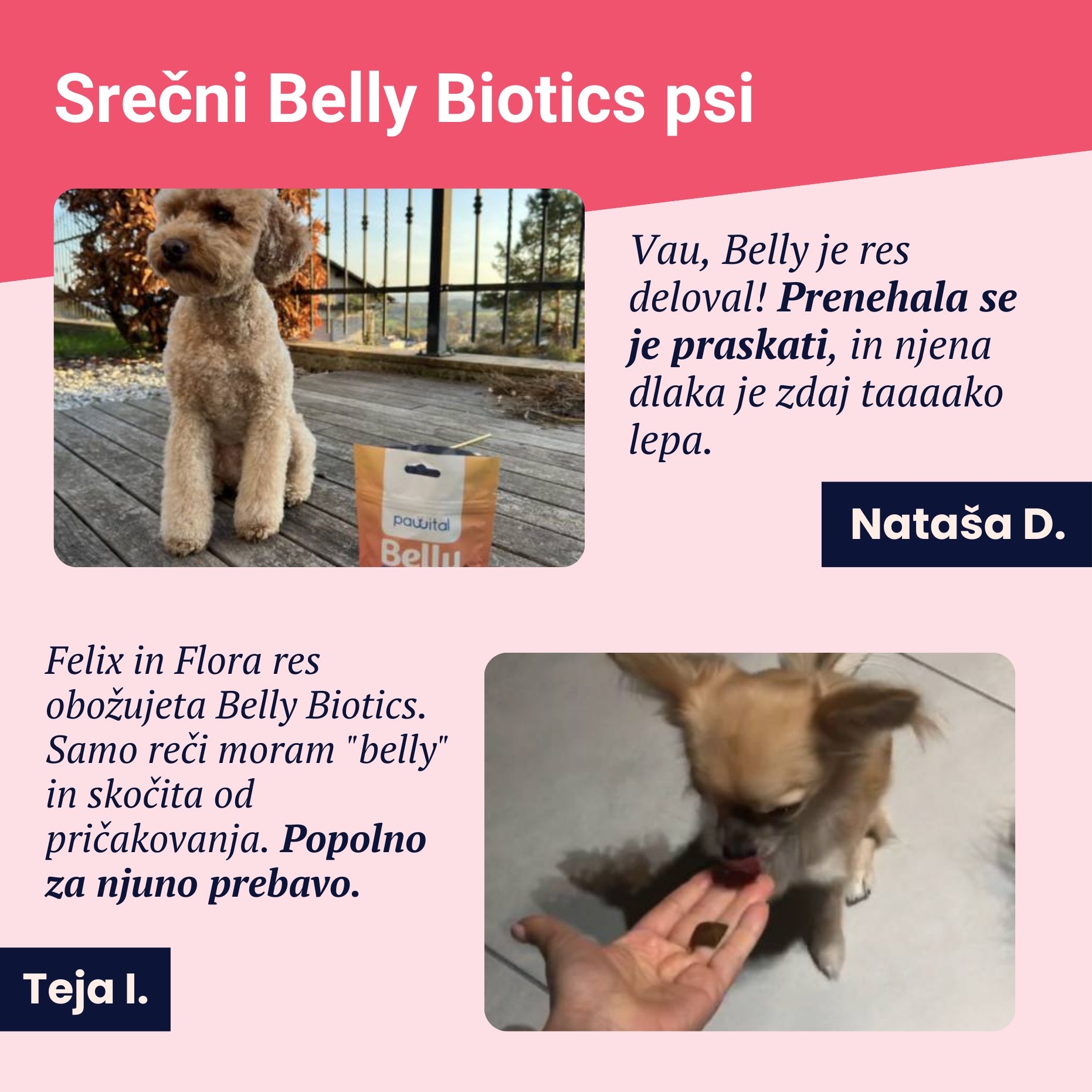 Belly Biotics (360 Leckerlis)