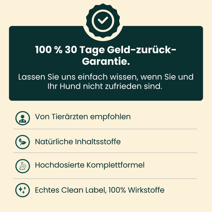 dentQR