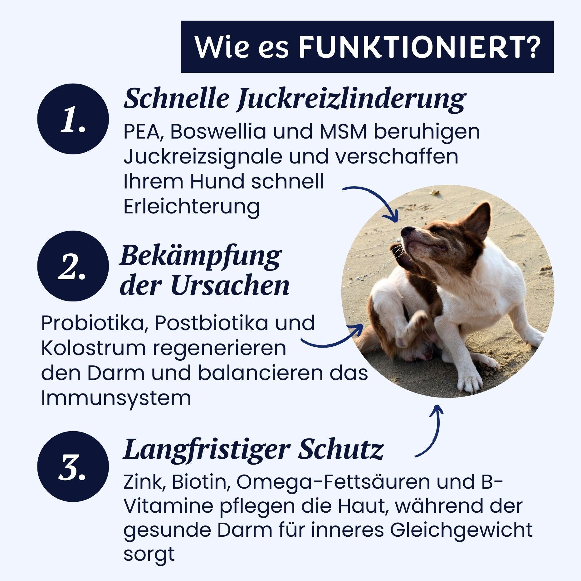 gutQR Anti-Itch
