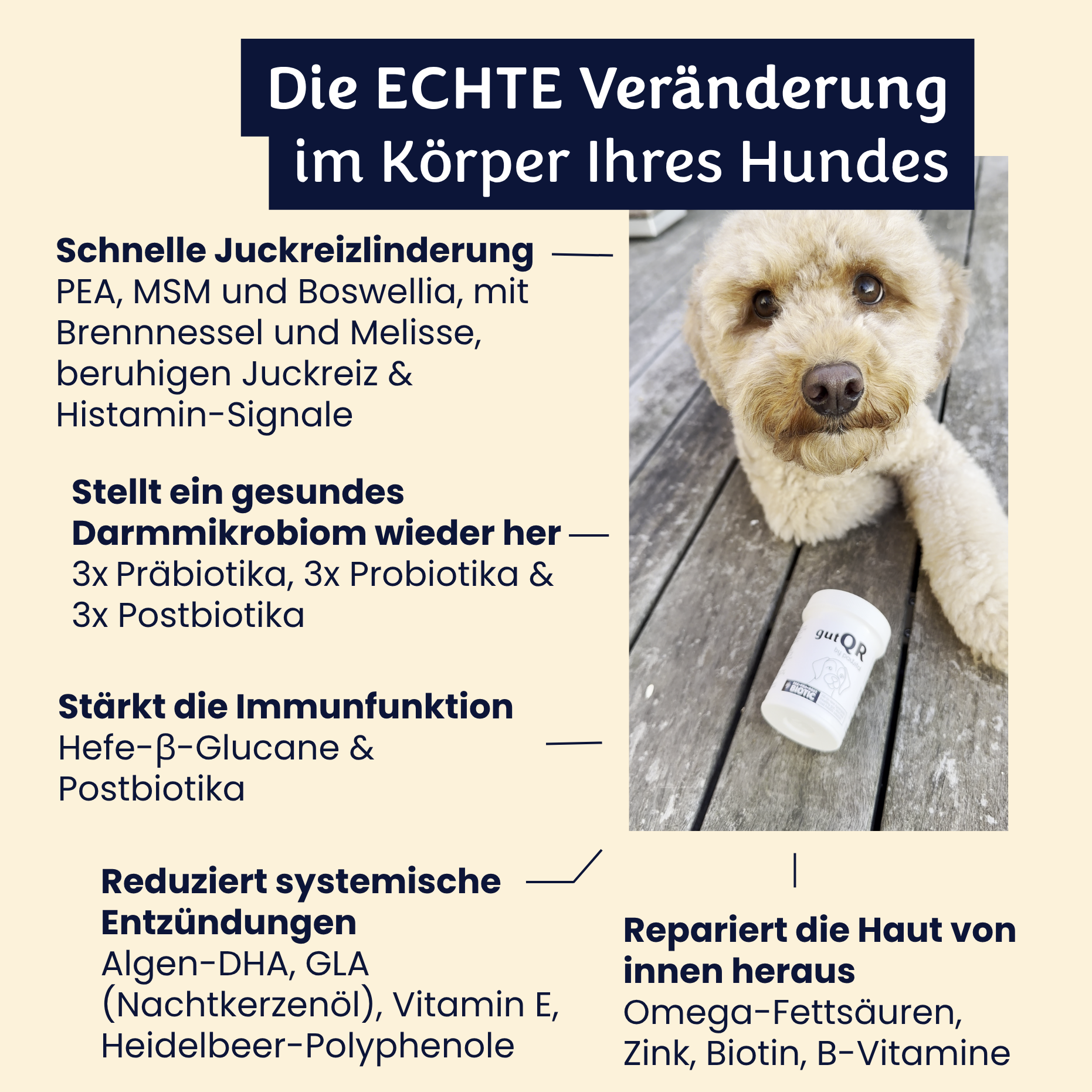 gutQR Anti-Itch no-co