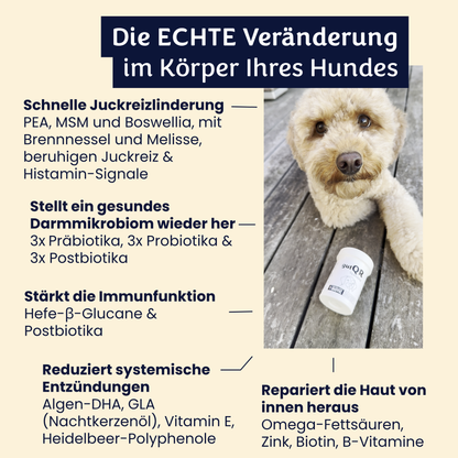 gutQR Anti-Itch no-co